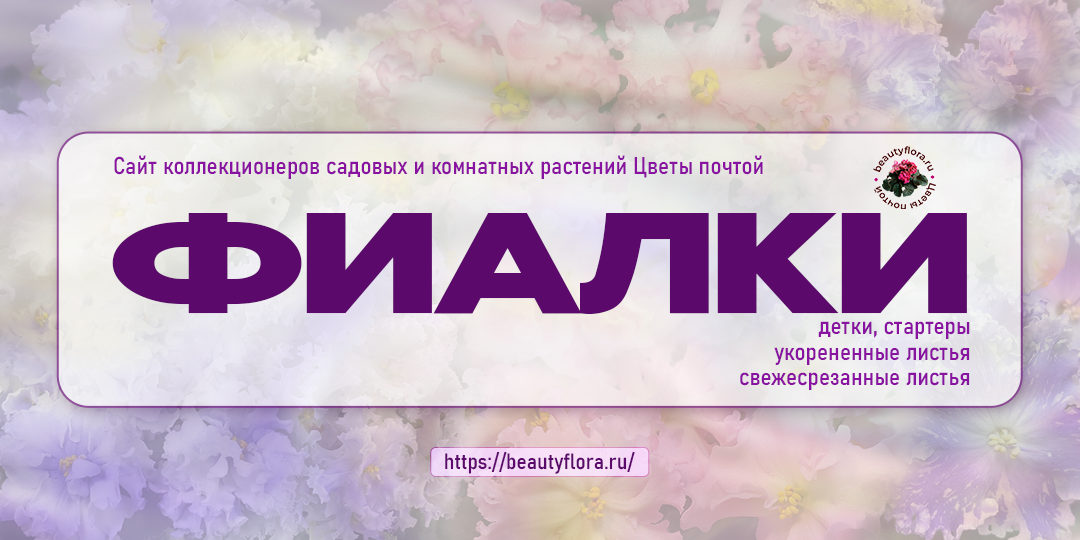 Сочный дизайн-3 BF.png