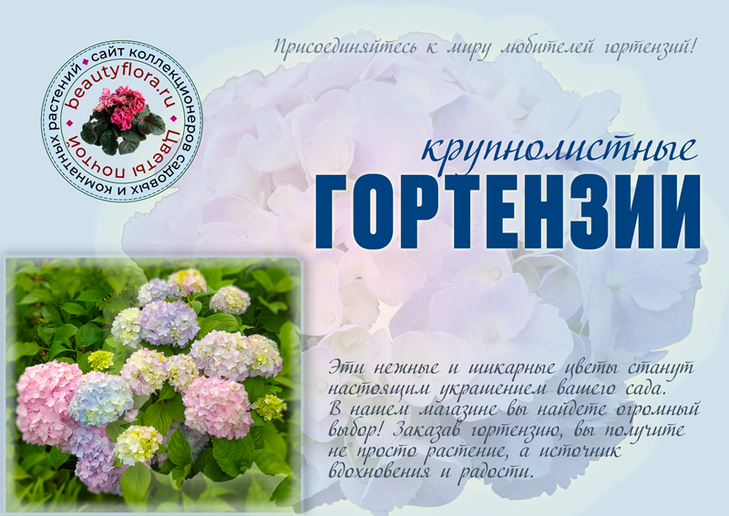 Каталог крупн1стр.png-800.png