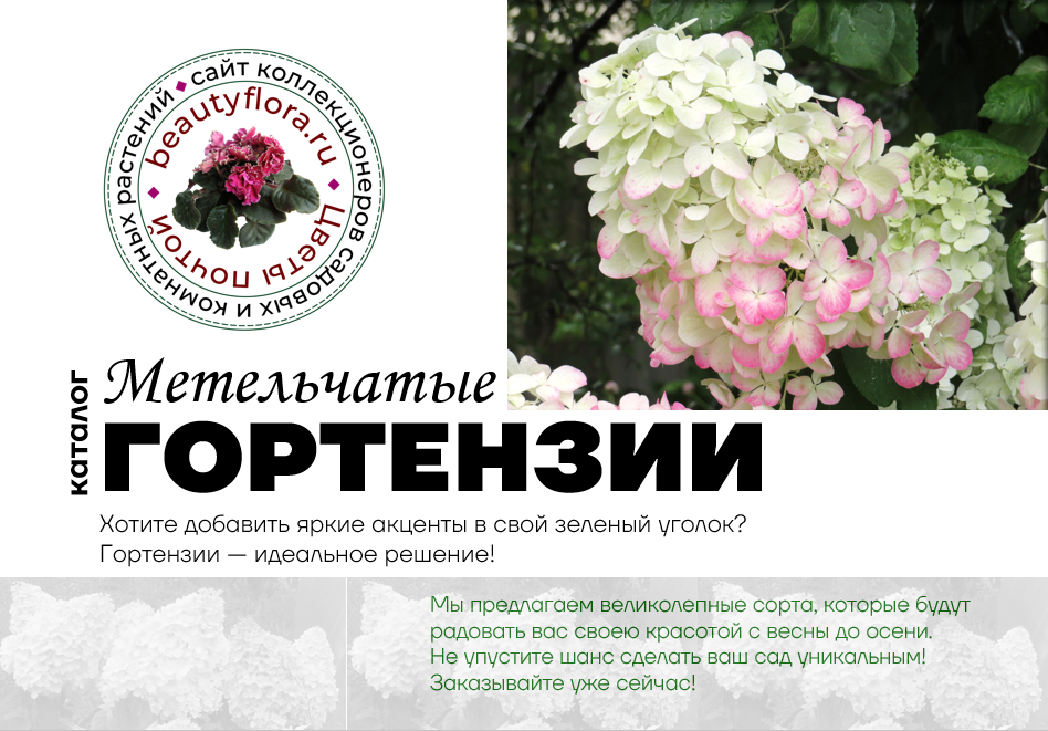 Слайд 1.png