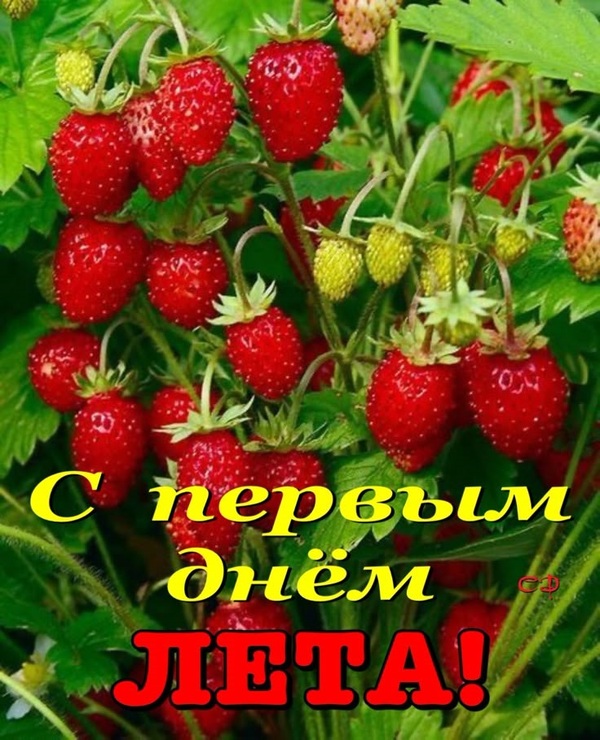 61bf4b89-3cad-42eb-acd4-ee7d96a65292.jpg