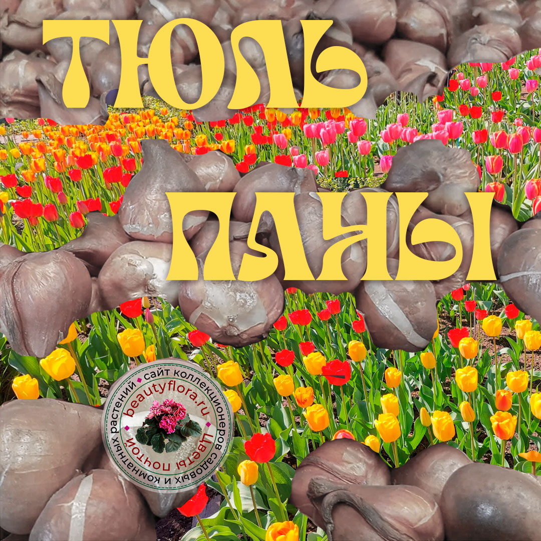 Каталог крупн1стр.png-800.png