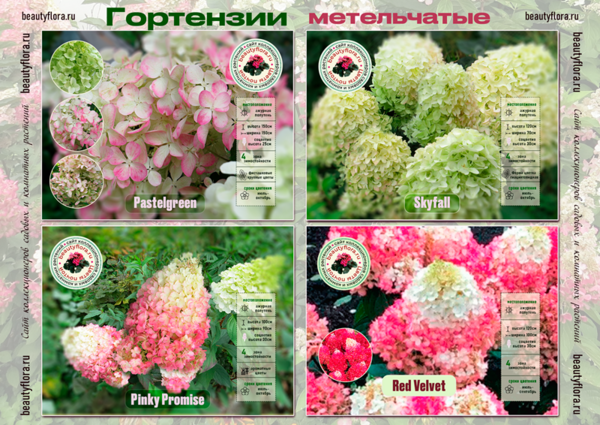 КАталог горты 4.png
