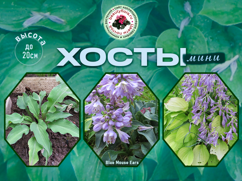 Каталог крупн1стр.png-800.png