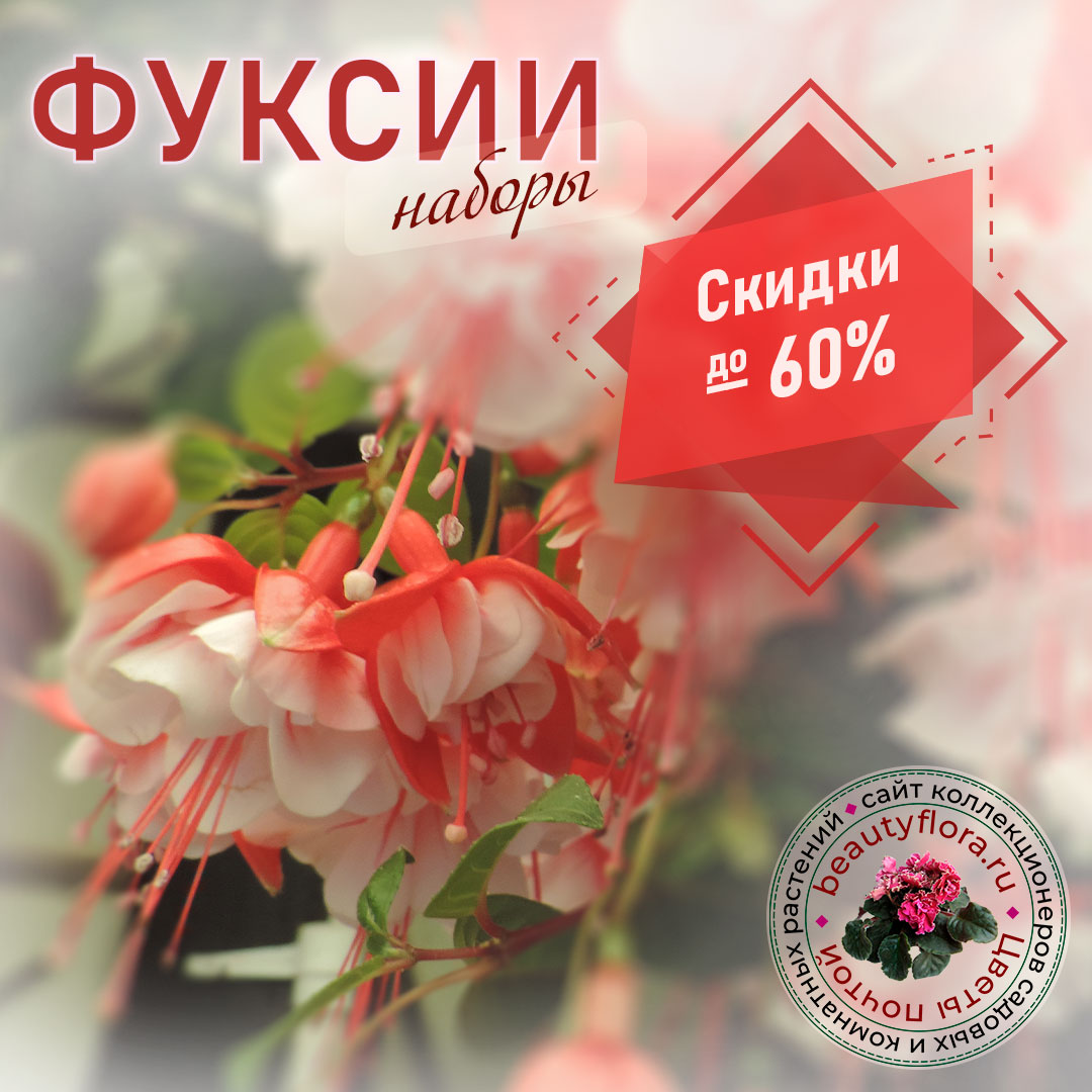 Скидки-1.jpg