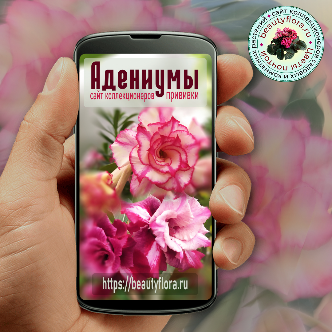 Mei Xiang_20220828 (3).jpg