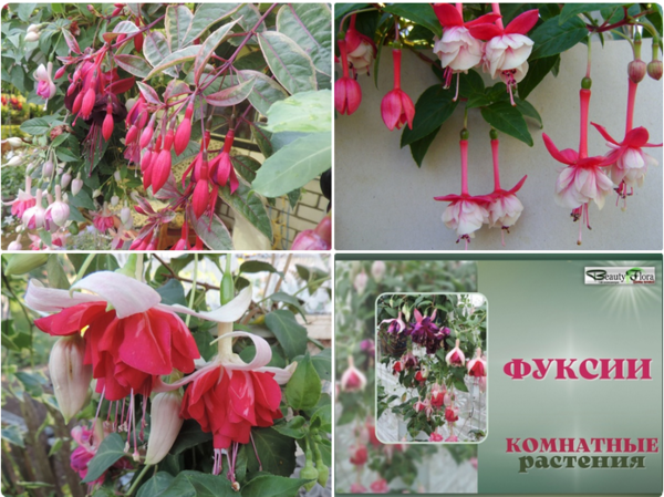 Screenshot 2024-04-14 193924.png